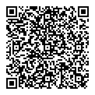 qrcode:https://www.essaillon-sederon.net/Le-comportement-politique-dans-les-Baronnies-Dromoises-de-1864-a-1914.html